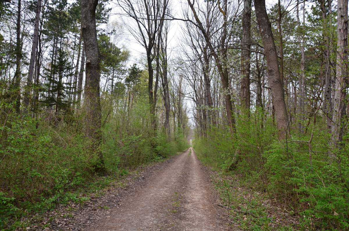 2014-03-31 16-12-50.JPG